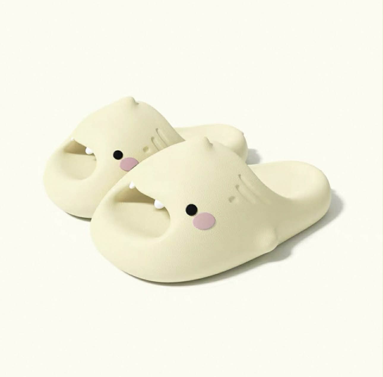 SoftShark Cloud Slides